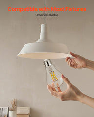 6 Pack Edison Bulbs LED A19 4.5W Dimmable 450 Lumens 2700K E26 Antique,Dimmable LED Bulbs