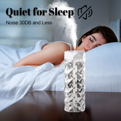 Crystal Rose Lamp Humidifier