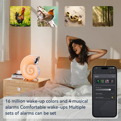 Conch Smart RGB Atmosphere Light
